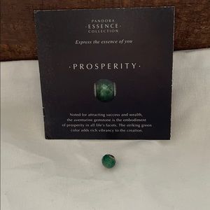 PANDORA Essence Prosperity Bead Charm